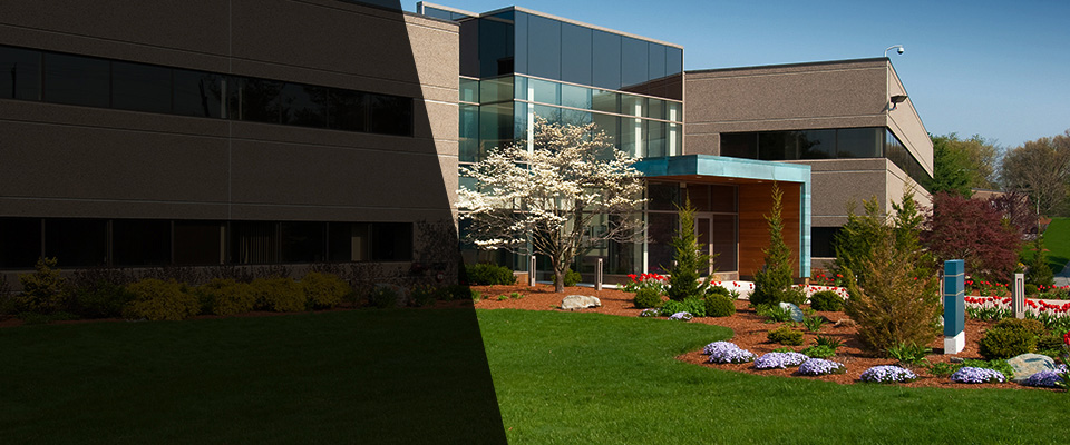 Westcliffe Landscapers
