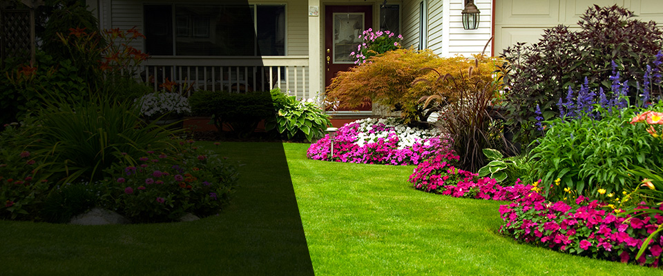 Westcliffe Landscapers