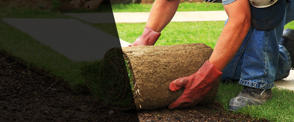 Westcliffe Landscapers